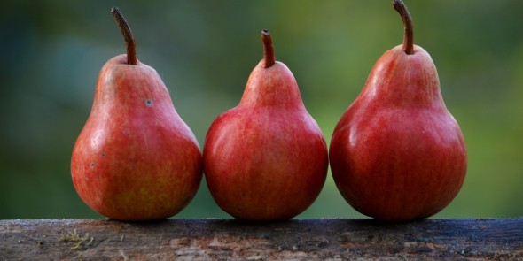 3 peren op een rijtje. Peer to peer